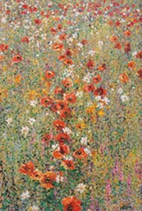 Cascading Poppies,