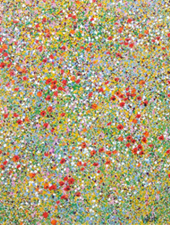 Wild Flower Meadow,