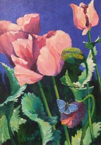 Poppy with Butterfly,