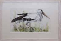 Stork