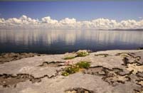 Burren at Galway Bay