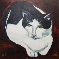 Tom Cat