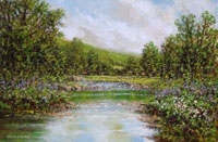 River Banks, Erriff Valley (25/07)