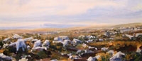 C�idi Fields