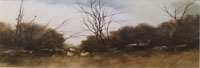 Sheep on the Wall