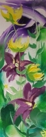 Wild Flowers, Wellfield, Lecanvey