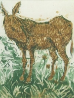 Donkey 33/50