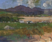 Donegal Cottages