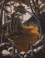 Through the Woods