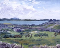 Patterns of Walls and Fields, Inish
