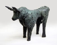 Mayo Bull