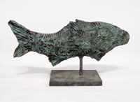 Brazil Fish