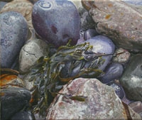 Intertidal