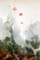 In the Wind
