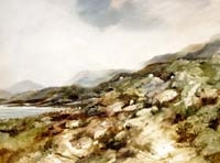 Mountain Grazing
