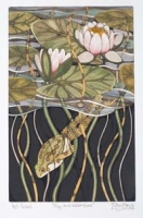 Frog and Water Lilies