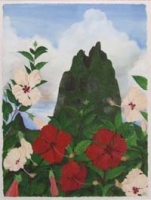 Hibiscus Moorea