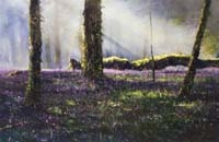 Bluebell Hill Abbeyleix, Co. Laois