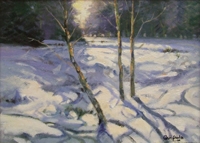 Forest Snow Abbeyleix, Co. Laois