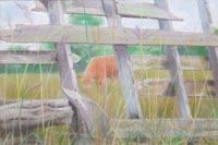 Red Cow