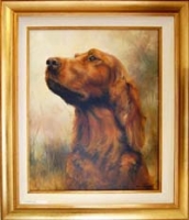 Irish Setter