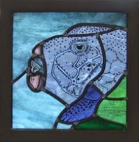 Puffer Fish (Seychelles)