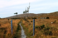 Connemara Path