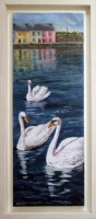 Claddagh Swans