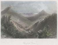 Glen of the Downs