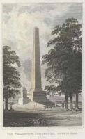 The Wellington Testimonial, Phoenix