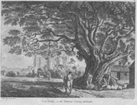 Lea Castle, in the Queens-County, I