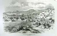 Steeplechase at Punchestown Races