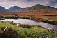 Connemara