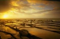 The Burren at Sunset