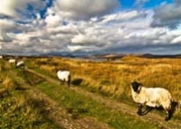 West to Connemara