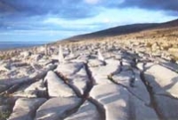 The Burren, Co. Clare II