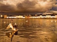 On the River Corrib, Galway II