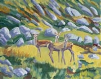 Deer