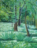 Wild Garlic