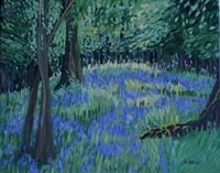 Bluebell Carpet near Muckross