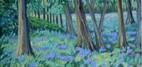 Bluebell Walk
