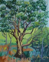 Arbutus Tree