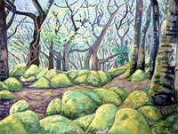 Oak Wood