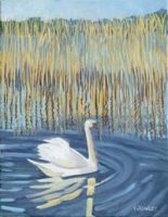 Swan & Reeds, Lough Leane