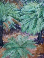 New Zealand Fern Trees