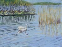 Swan & Reeds Lough Erne II