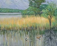 Reeds Near Ross Castle