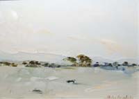 Flooded Field, Connemara - Thelma Mansfield