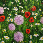 Paintings by Jerry Marjoram
