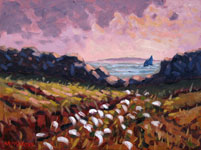 Bog Cotton on Inishlacken - Tony McCarthy